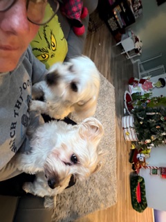 Happy client dog